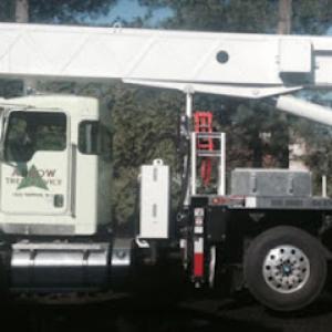 Arrow Tree Service