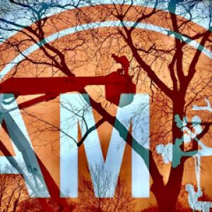 AM Tree Service