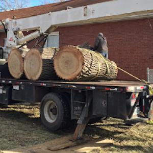 Cesar's Tree Service