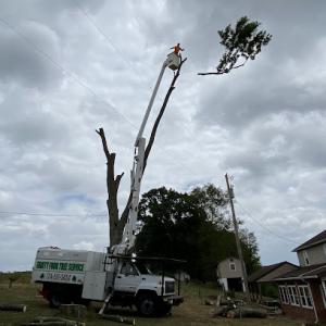 Eighty Four Tree Service