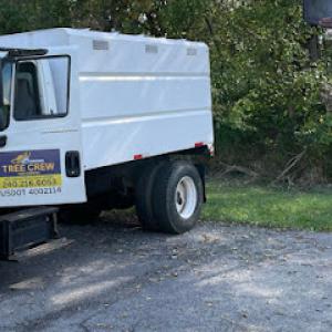 Tree Crew - Tree Experts