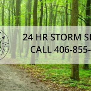 Timber Tree Service