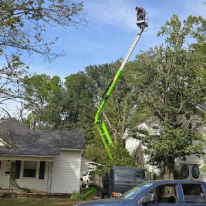 Busy Boy Tree Services