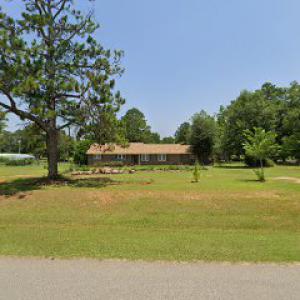 Affordable Trees & Construction