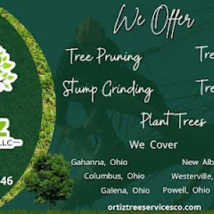 Ortiz Tree Services