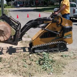 Double D's Stump Grinding & Removal