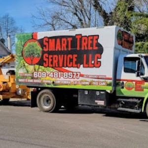 Smart Tree Service