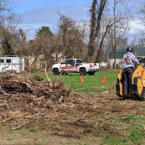 Enright's Tree & Concrete Service