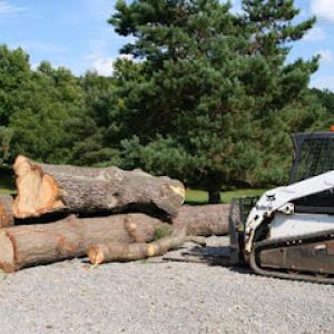 Jimmy's Tree Service