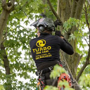Turbo Tree Care