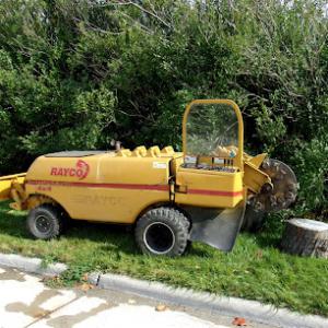 Novak Stump Grinding