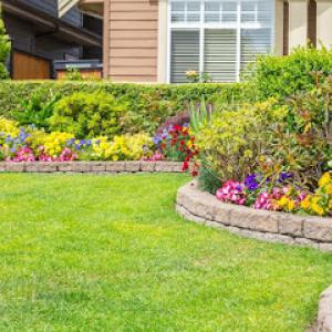 Fredy's Gardening & Landscaping Services