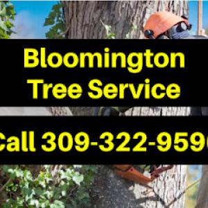Bloomington Tree Service