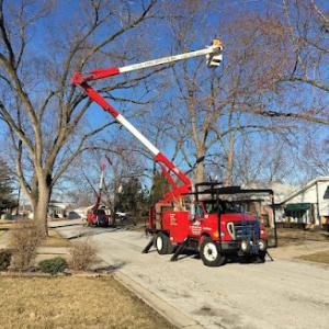 Smitty's Tree Service