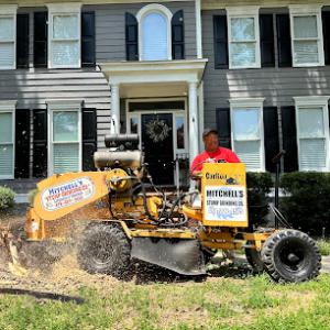 Mitchell & Son Stump Grinding