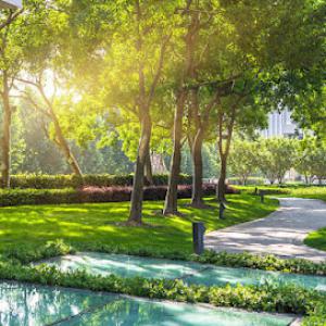 Cutting Edge Industries