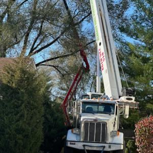 Reasonable Tree Experts