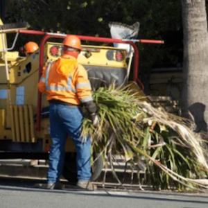 Coastal Crown Tree Services