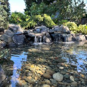 Dominguez landscaping service,LLC