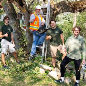 Mad Tree Landscaping