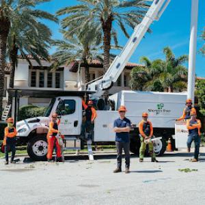 Sherlock Tree Company