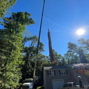 Aplus Tree Service