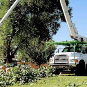 VJ Stars Tree Services