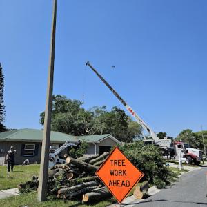 Southern Roots Tree & Landscape