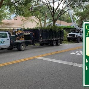 Southern Environmental Group