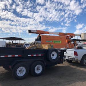 Chavez Tree Services