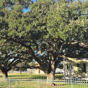 Jewel garden Brenham.