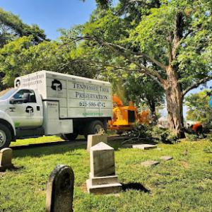 TN Tree Preservation