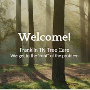 Franklin Tree Care