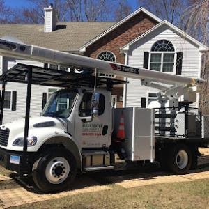 Madd Beaver Tree Experts & Stump Grinding Service