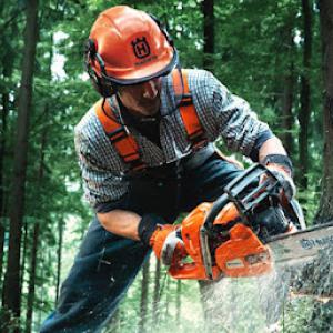 Demmo & Sons Tree Removal - Tree Service