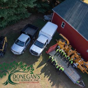 Donegan's Tree Service