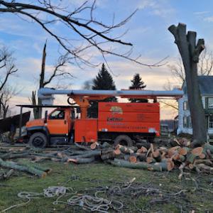 Energy property maintenance & tree service