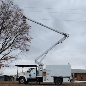 Riverdale Tree Services