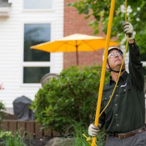 The Davey Tree Expert Company