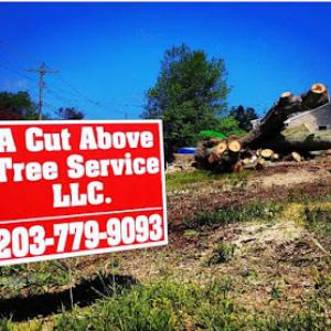 A Cut Above Tree Service