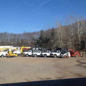 Lachance Tree Services