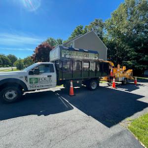 Four Brothers Tree & Landscaping