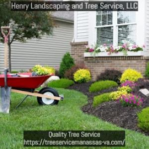 Henry Landscaping & Tree Service