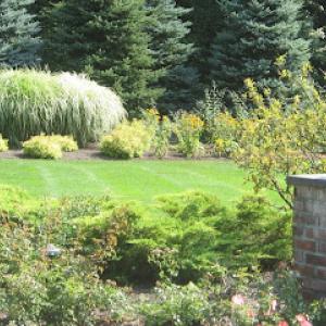 Peter Navarra Landscaping & Maintenance