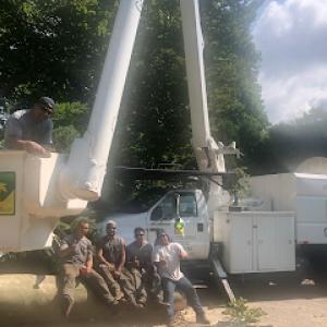 Green Valley Tree Service