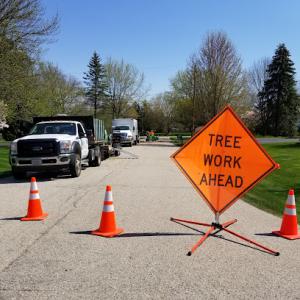 Colonial Tree Service