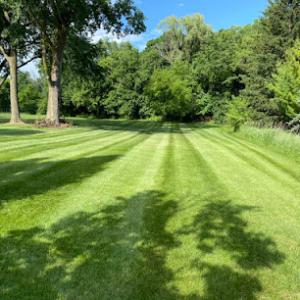 WayBetter Landscaping & Snowplowing