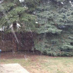 A Notch Above the Rest