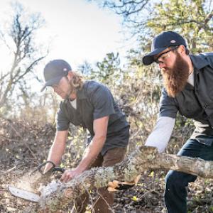 Blue Ox Urban Forestry