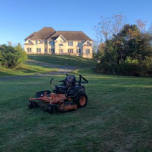 Carlos Landscaping & tree service